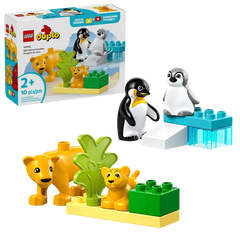 Wild Animal Families: Penguins & Lions