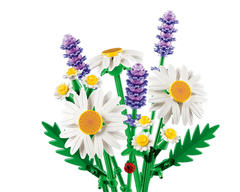 Daisies