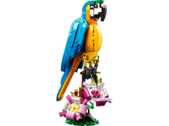 Exotic Parrot