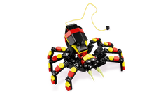 Wild Animals: Surprising Spider