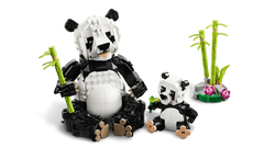 Wild Animals: Panda Family