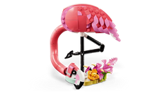 Wild Animals: Pink Flamingo