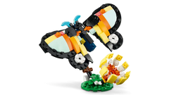 Wild Animals: Tropical Toucan