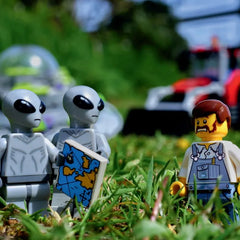 LEGO® 2024 Wall Calendar