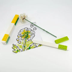 Creativity Set – Botanicals