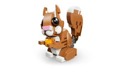 Cute Animals: Playful Puppy Dog