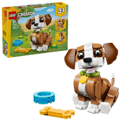 Cute Animals: Playful Puppy Dog