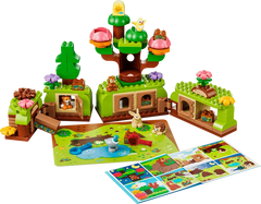 Discovery Forest with Wild Animals
