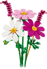 Cosmos Flowers