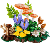 Woodland Mushrooms