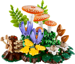 Woodland Mushrooms