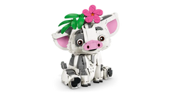 Pua