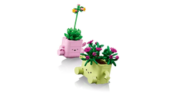 Rocking Plants