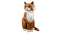 Orange Cat