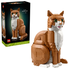 Orange Cat