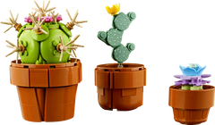 Tiny Plants