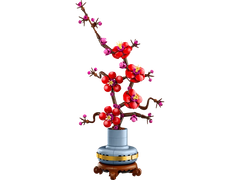 Plum Blossom