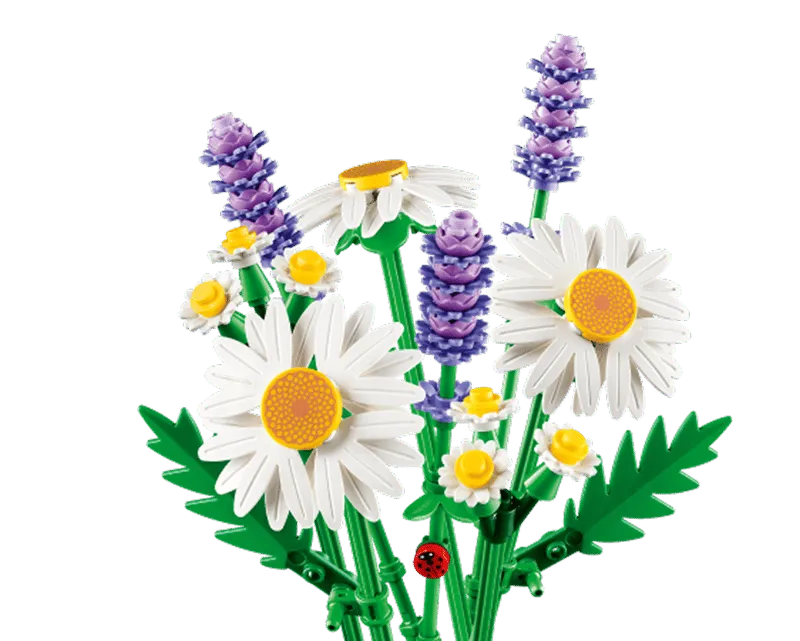 Daisies