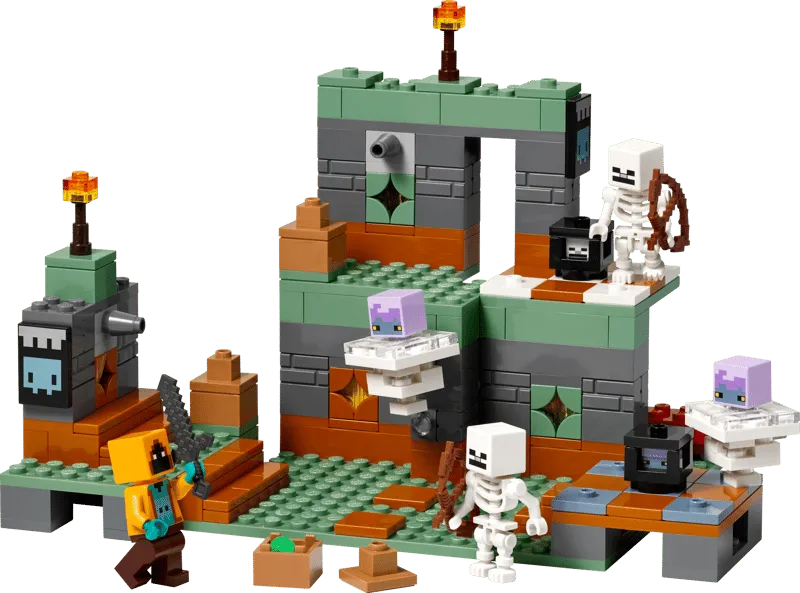 The Trial Chamber