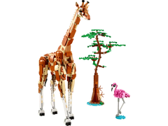Wild Safari Animals