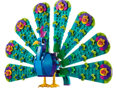 Exotic Peacock