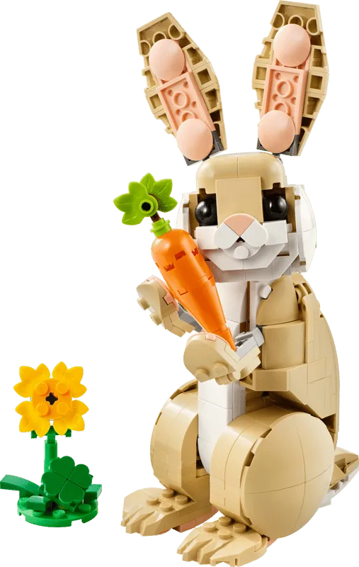 Cute Bunny