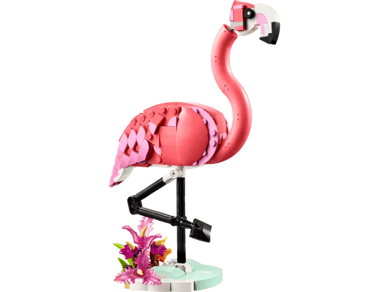 Wild Animals: Pink Flamingo