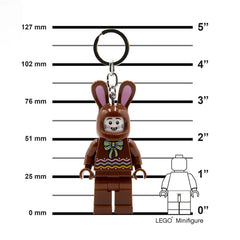 Chocolate Bunny Key Light