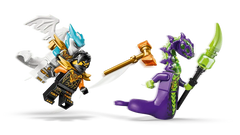 Cole's Mission Mech & Dragon Zane
