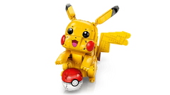 Pikachu and Poké Ball