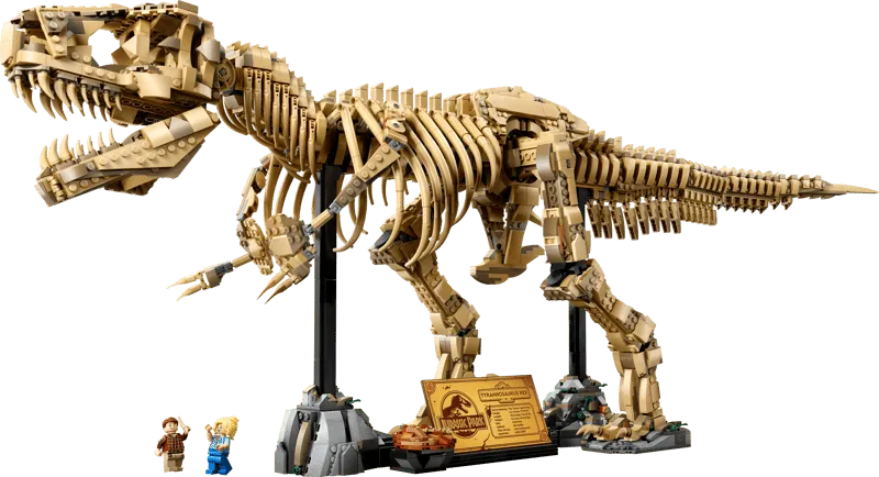 Dinosaur Fossils: Tyrannosaurus rex