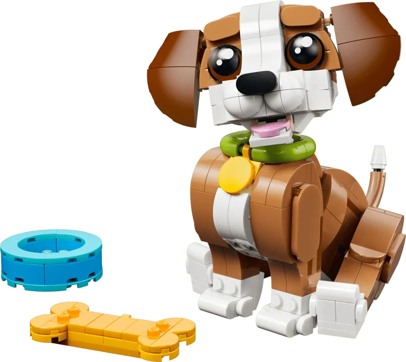 Cute Animals: Playful Puppy Dog