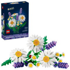 Daisies