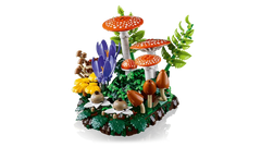 Woodland Mushrooms