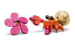 Pua
