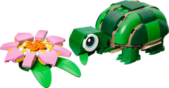 Turtle with a Water Lily Flower