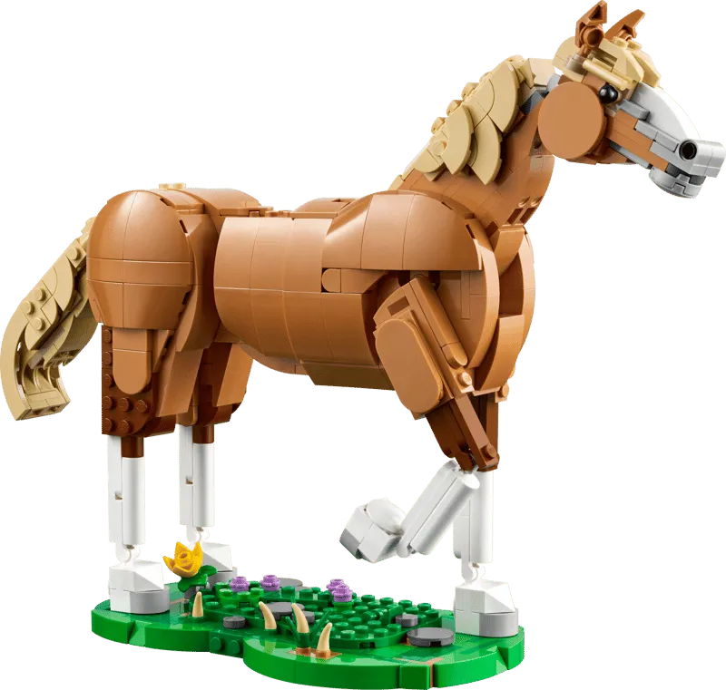 Beautiful Horse