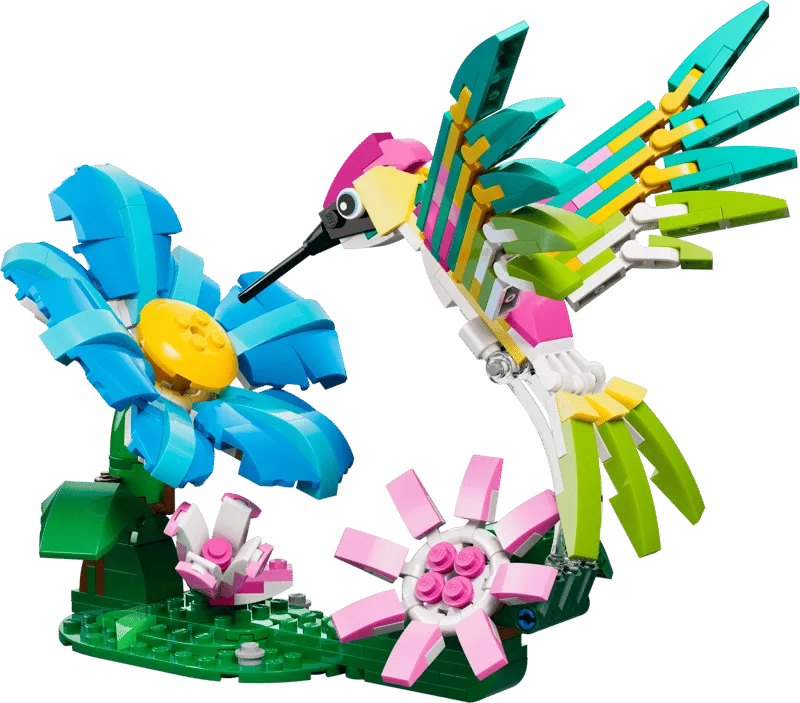 Wild Animals: Colorful Hummingbird