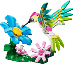 Wild Animals: Colorful Hummingbird