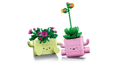 Rocking Plants